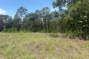 Tbd SW 152 Ct, Ocala, FL 34481 - Photo 1