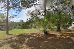 17100 SE 251st Terrace, Umatilla, FL 32784 - Photo 1