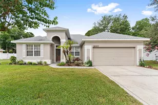 36403 Grand Island Oaks Cir, Grand Island, FL 32735 - Photo 1