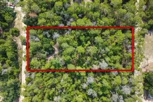 Berry St, Paisley, FL 32767 - Photo 1