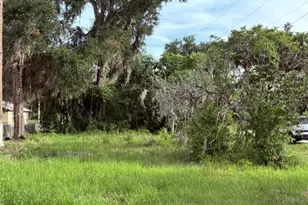 Cr 604, Bushnell, FL 33513 - Photo 1
