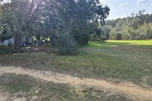 17120 SE 251st Terrace, Umatilla, FL 32784 - Photo 1