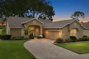 7029 Pine Hollow Dr, Mount Dora, FL 32757 - Photo 1