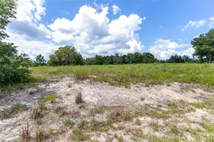 SW Zephyr Hill Ct, Dunnellon, FL 34431 - Photo 1