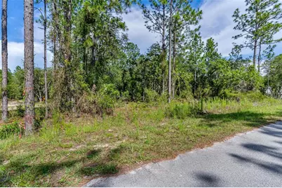 Sw Viola Court, Dunnellon, FL 34431 - Photo 1