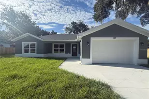 557 County Road 487, Lake Panasoffkee, FL 33538 - Photo 1