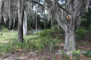 31328 Sand Lk Dr, Mount Dora, FL 32757 - Photo 1