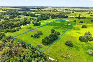 Tbd Trilby Cemetery Rd, Dade City, FL 33523 - Photo 1