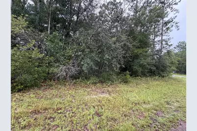 482 W Cabot Lane, Citrus Springs, FL 34434 - Photo 1