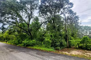 5511 W Rochelle St, Homosassa, FL 34446 - Photo 1