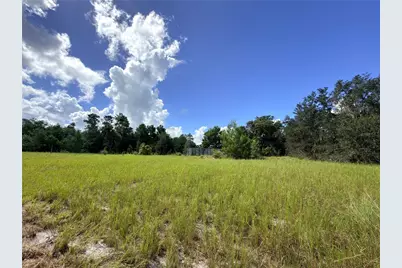 41938 Pine Valley Drive, Paisley, FL 32767 - Photo 1