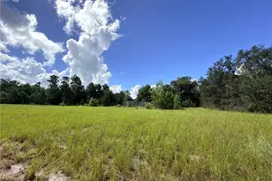 41938 Pine Valley Dr, Paisley, FL 32767 - Photo 1