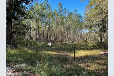 Sw Catherine Lane, Lake City, FL 32025 - Photo 1