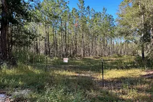 SW Catherine Ln, Lake City, FL 32025 - Photo 1