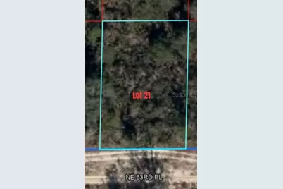Ne 63rd Place, Williston, FL 32696 - Photo 1