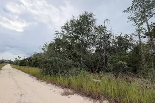 NE 66th Ln, Williston, FL 32696 - Photo 1