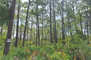 989 N Rhyme Point, Crystal River, FL 34429 - Photo 1