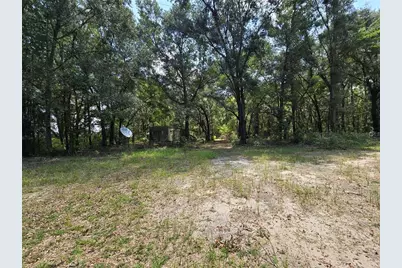 27727 SW 120 Lane Lane, Newberry, FL 32669 - Photo 1