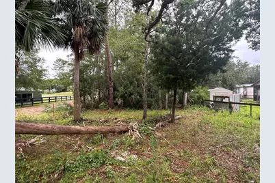 9 7th Street NE, Steinhatchee, FL 32359 - Photo 1