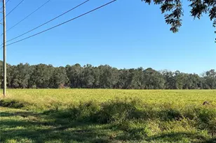 S Us-129 Hwy, Bell, FL 32619 - Photo 1
