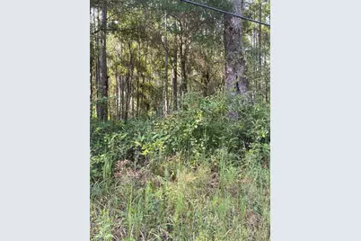 14303 NE 160th Avenue, Waldo, FL 32694 - Photo 1