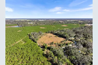 165 SE 122nd Avenue, Old Town, FL 32680 - Photo 1