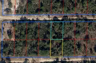 NE 64th St, Williston, FL 32696 - Photo 1