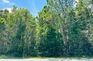 705 SW 4th Ave, Chiefland, FL 32626 - Photo 1