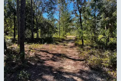 146 Westwood Drive, Interlachen, FL 32148 - Photo 1