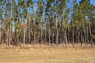 NW County Road 251, Mayo, FL 32066 - Photo 1