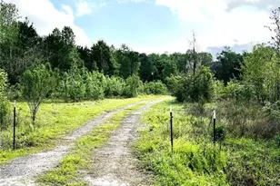 5572 SW 111th Ln, Lake Butler, FL 32054 - Photo 1