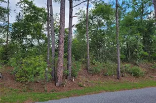 Tbd County Road 18, Fort White, FL 32038 - Photo 1