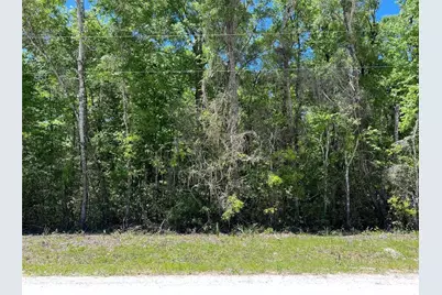 Tbd NE 642nd Street, Old Town, FL 32680 - Photo 1