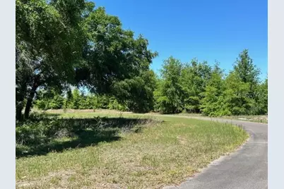 4950 NW 36th Street, Bell, FL 32619 - Photo 1