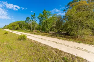 NE 65 St, Williston, FL 32696 - Photo 1