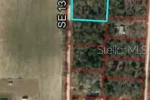 Tbd SE 130th Ave, Morriston, FL 32668 - Photo 1