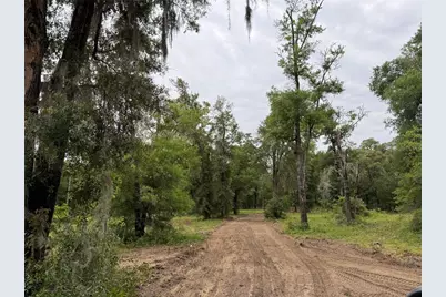 Tbd NE 127th Place, Bronson, FL 32621 - Photo 1