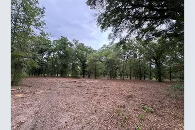 Tbd NE 126th Street #A, Bronson, FL 32621 - Photo 1