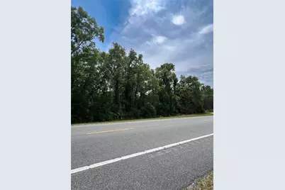 00 NE 349 Highway, Old Town, FL 32680 - Photo 1