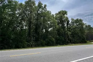 00 NE 349 Hwy, Old Town, FL 32680 - Photo 1