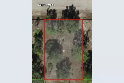 3378 W Nieman Drive, Citrus Springs, FL 34433 - Photo 1