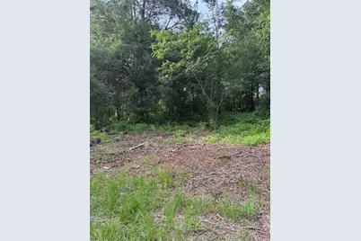 10237 NE 67 St, Bronson, FL 32621 - Photo 1