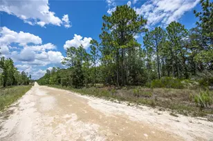 NE 150th Ct, Williston, FL 32696 - Photo 1