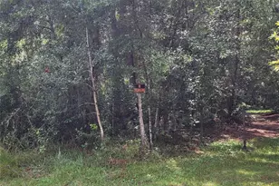 101 Beach Dr, Florahome, FL 32140 - Photo 1