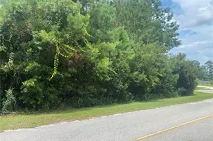 SW 83rd Terrace, Lake Butler, FL 32054 - Photo 1