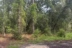 72nd Pl NE, Bronson, FL 32621 - Photo 1