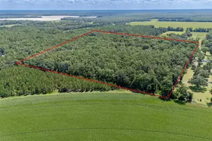 8289 NE Hwy 349, Old Town, FL 32680 - Photo 1