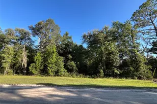81st Street NE, Bronson, FL 32621 - Photo 1
