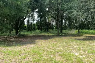 SW 19th Circle, Trenton, FL 32693 - Photo 1