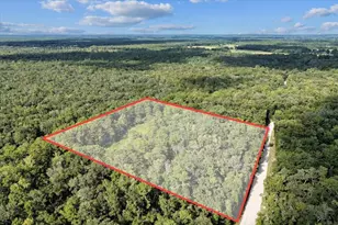 0000 NW 73rd Way, Bell, FL 32619 - Photo 1